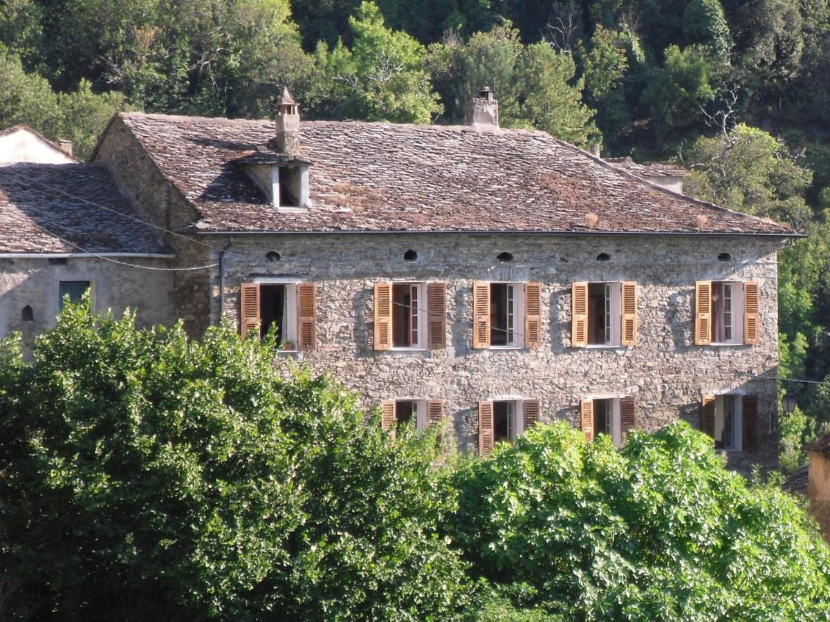 B&B Castello-di-Rostino - Chambre d'Hôtes La Marlotte - Bed and Breakfast Castello-di-Rostino