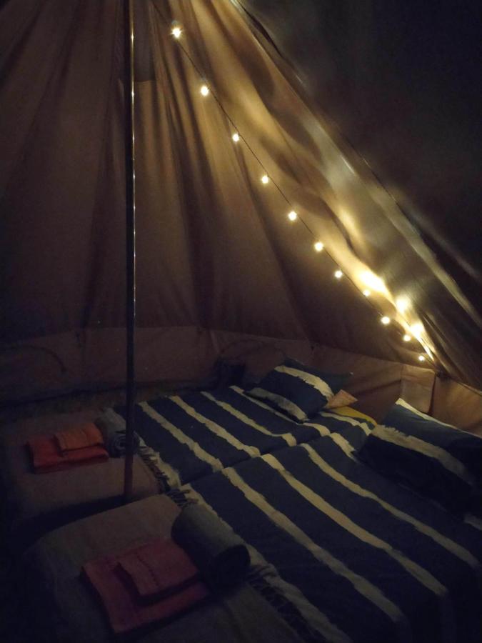 TENT 1 