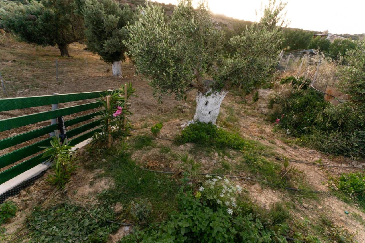 GALINI House - B&B