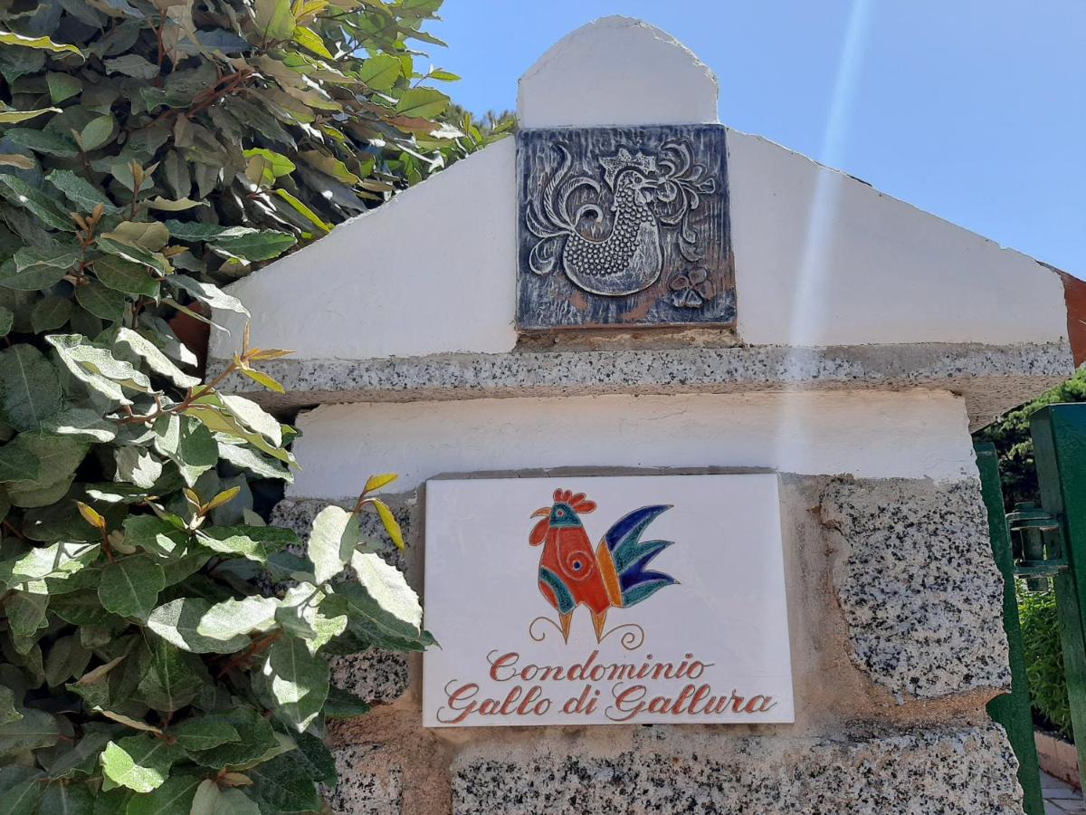 Overlooking the sea Santa Teresa Gallura - B&B