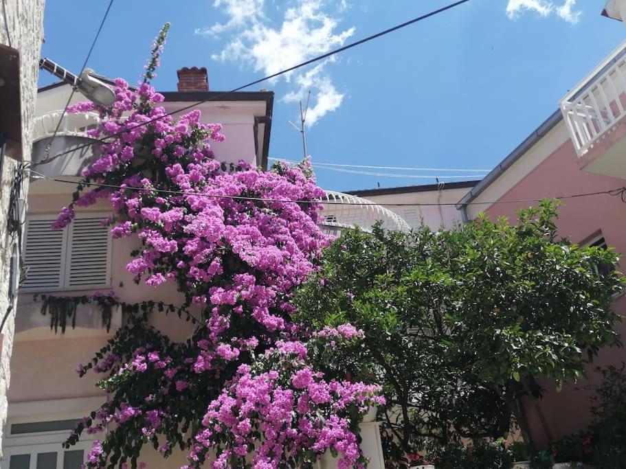 CENTER (THE HEART) OF MAKARSKA - B&B