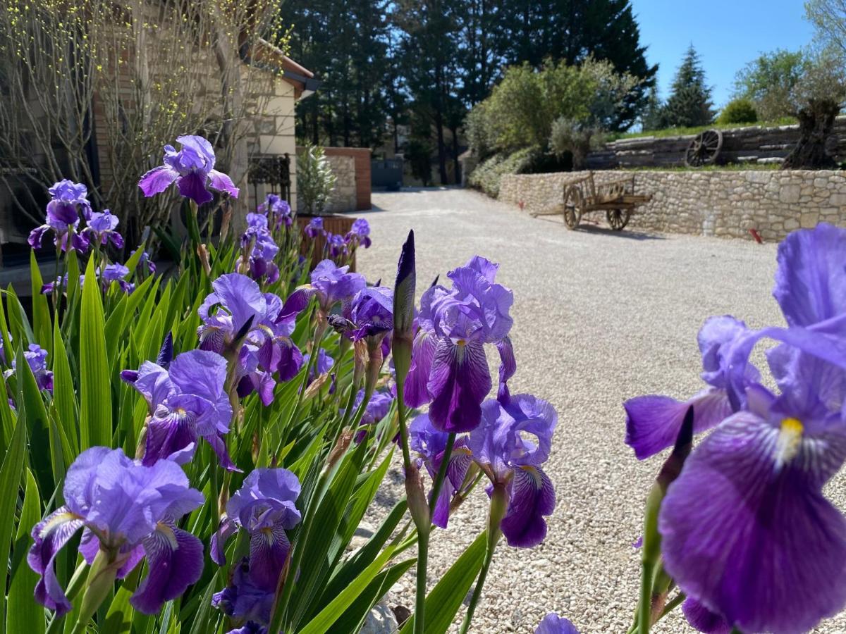 B&B Tréjouls - Le Relais de Campagne - Bed and Breakfast Tréjouls