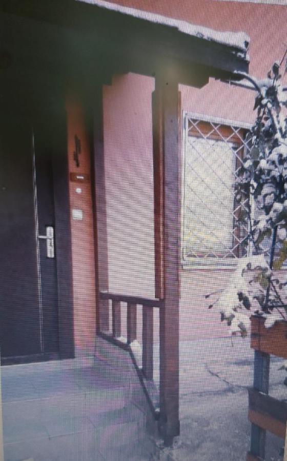 Pine Tree Apartment - B&B