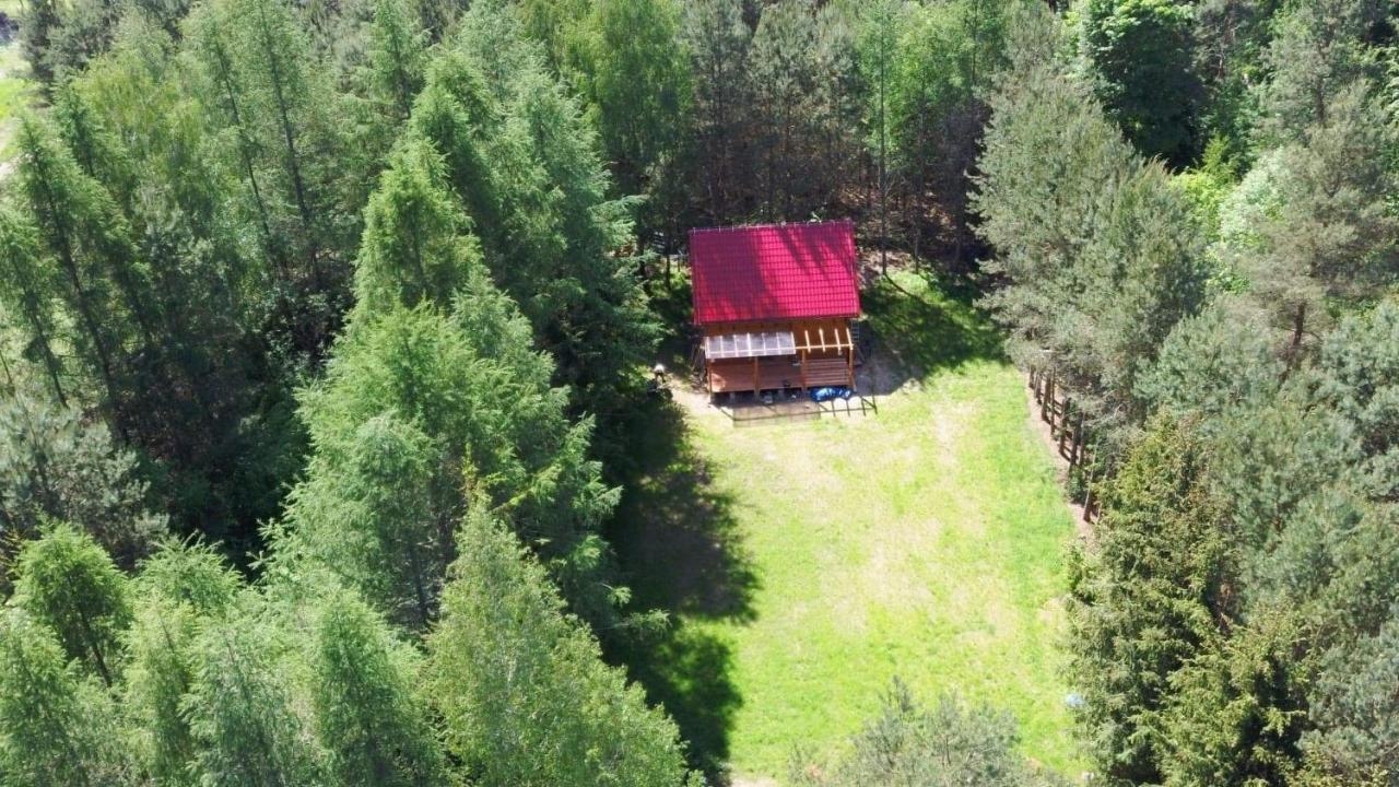 Domek na Mazurach w otulinie leśnej "Leśne zacisze" - B&B