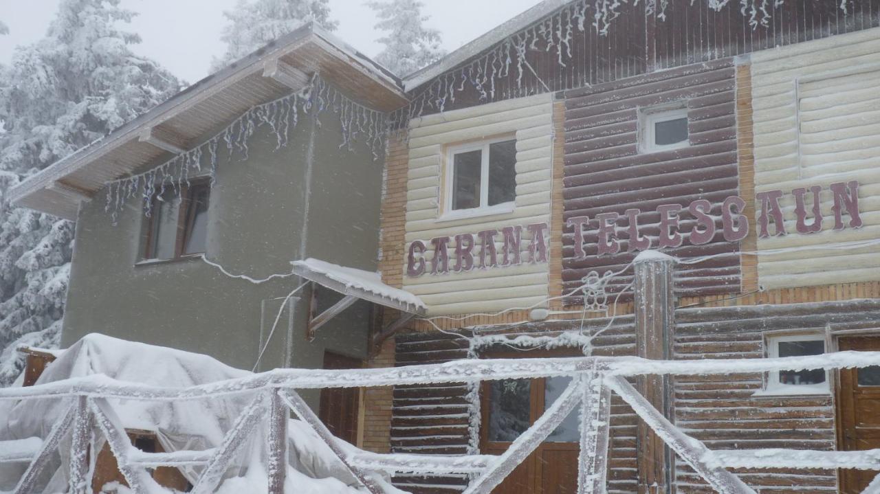 Cabana Telescaun - B&B Petroşani