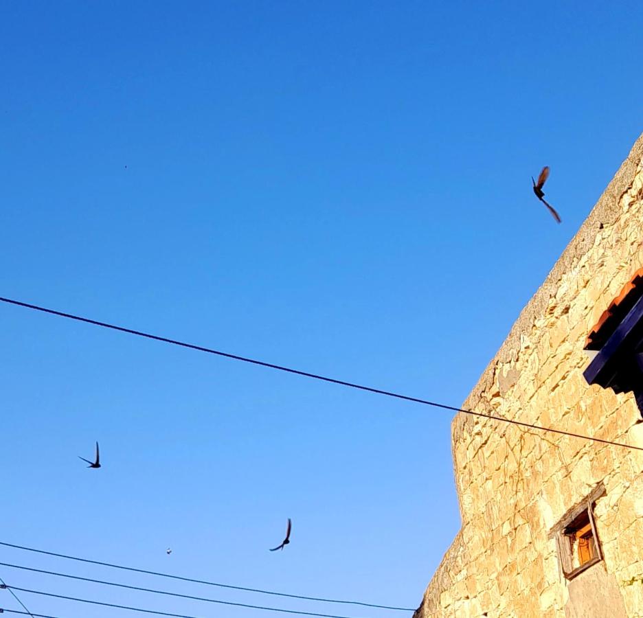 Ble Mavi - Studio for 2 - B&B Vouní