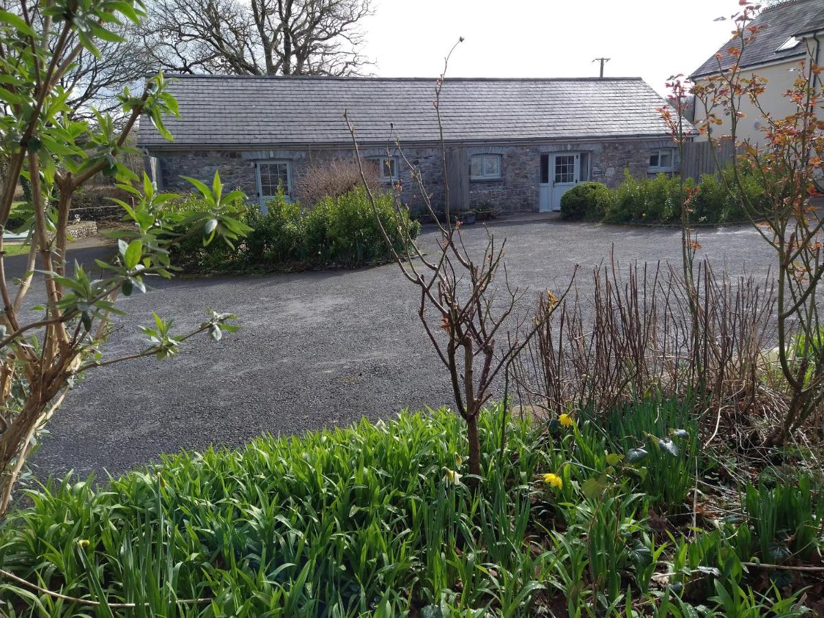 B&B Carmarthen - Carreg Cennen Cottage - Bed and Breakfast Carmarthen