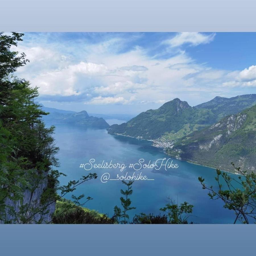 Schöne Ferienwohnung in Traumlage FeWo SoloHike - Ferienwohnung Seelisberg