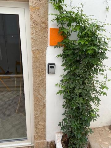 Alma da Vida Ferragudo - B&B