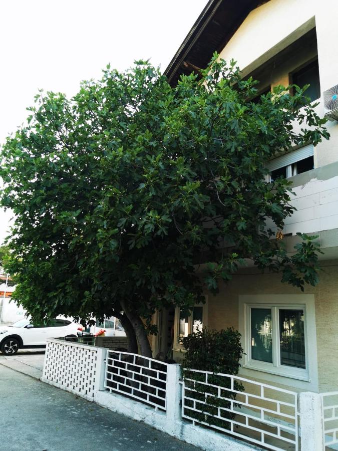 Apartman Smokva - B&B