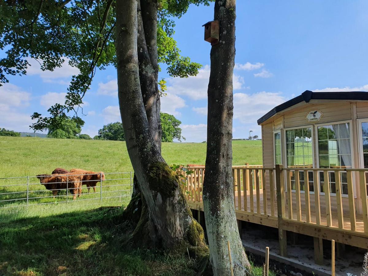 Gaerhyfryd Static Caravan & family friendly site - B&B Corwen