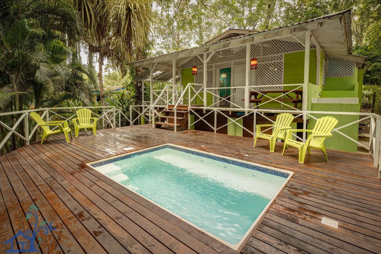 Lovely Casa Cucula Pool House with FiberOp - B&B