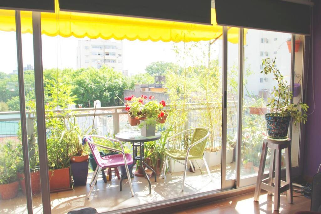 B&B Buenos Aires - Cosy apartment with great balcony - Bed and Breakfast Buenos Aires