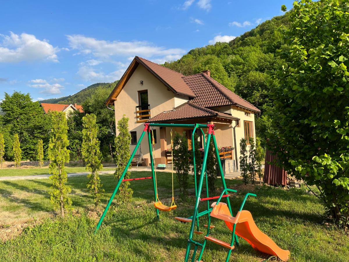 B&B Crni Vrh - Zeleni svet 2 - Bed and Breakfast Crni Vrh