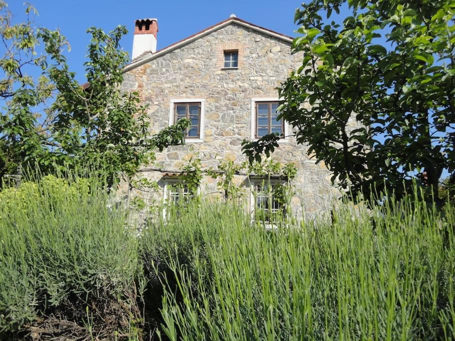 B&B Vipacco - A lovely house in Vipava valley - Bed and Breakfast Vipacco