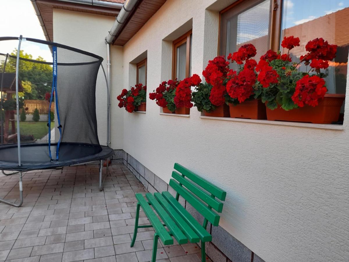 Casa Miki - Ferienwohnung Haţeg