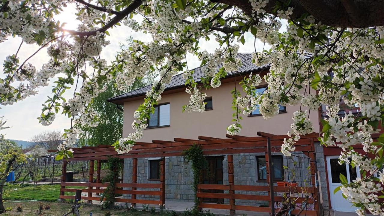 B&B Niculiţel - Agropensiunea-Alexandra - Bed and Breakfast Niculiţel