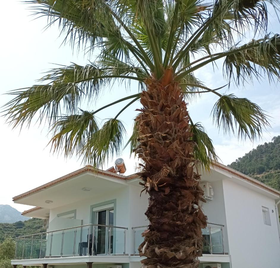 Olive Garden Villas and Apartments - B&B