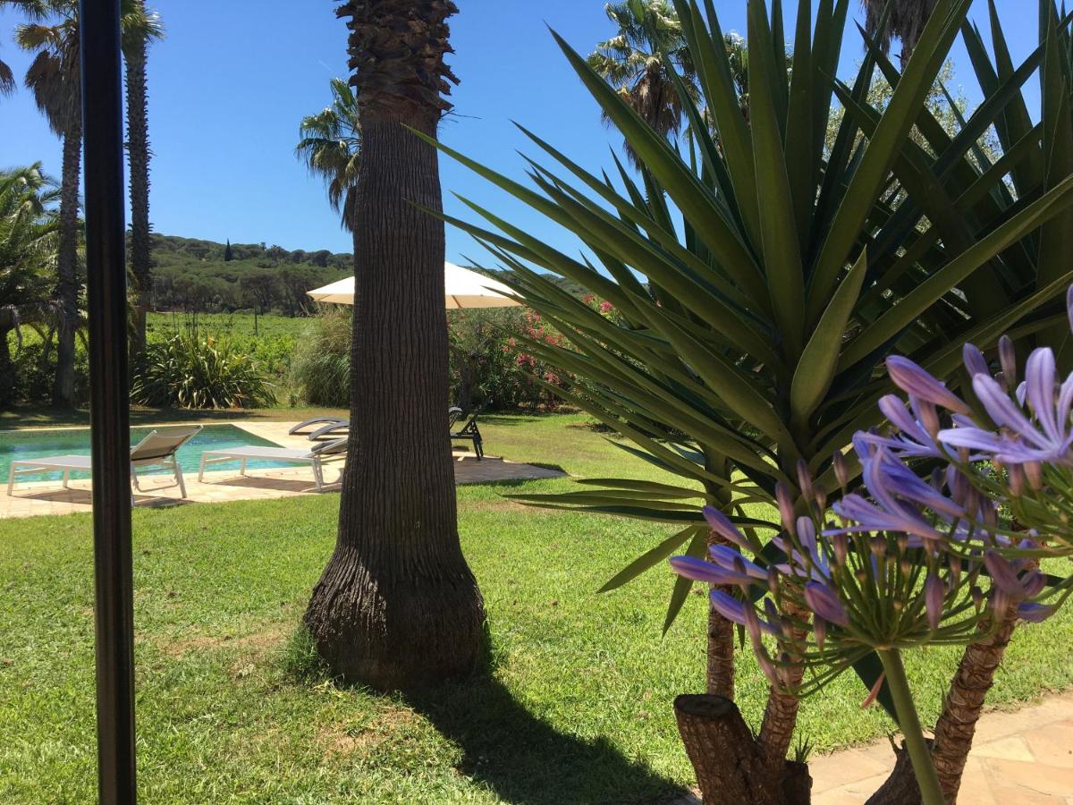Suite Junior con terraza
