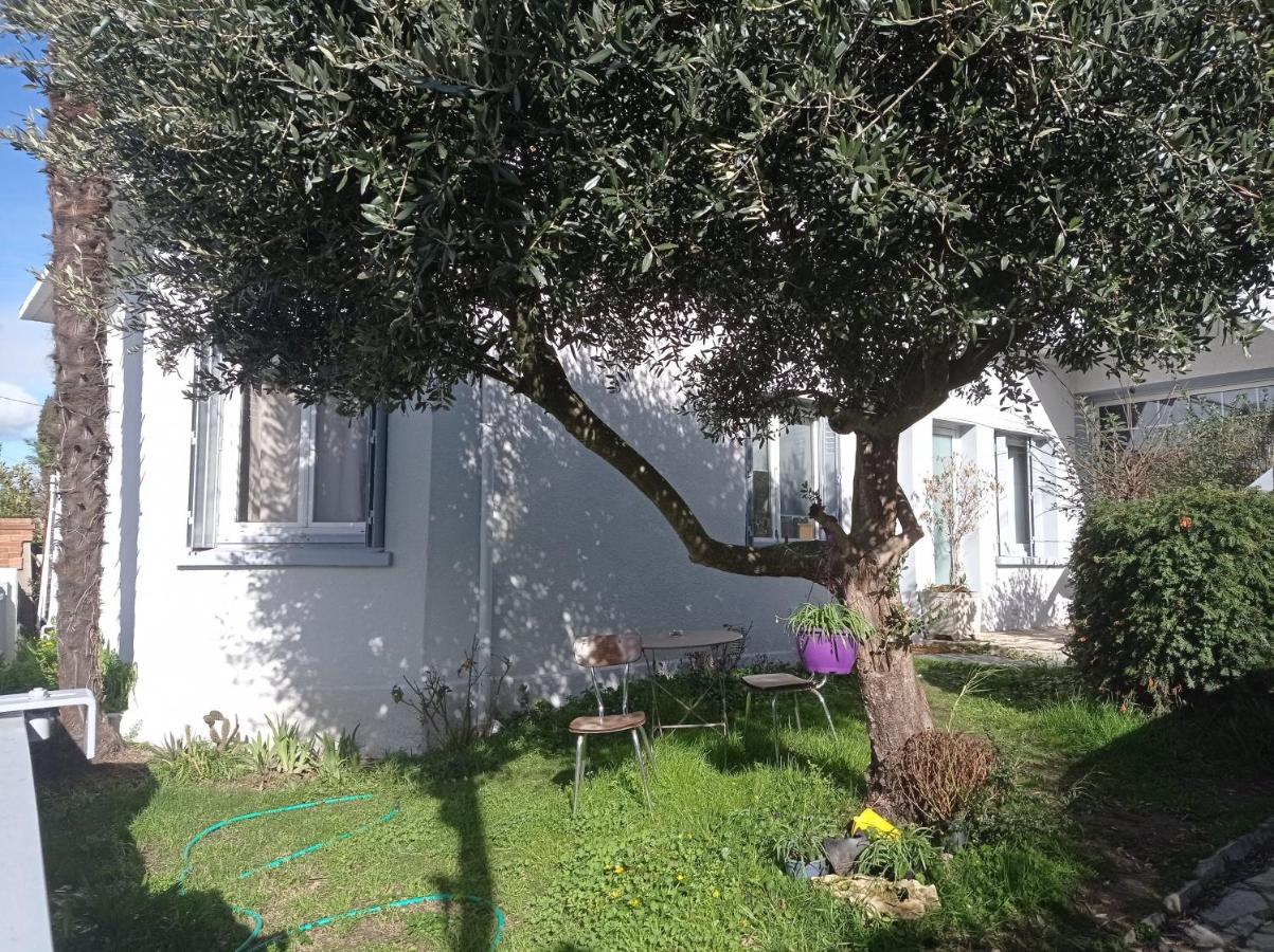 Studio indépendant, avec piscine et jardin, direct gare aéroport, 1 lit pour 2 personnes Direct Gare Aéroport - Chambres d'hôtes Toulouse