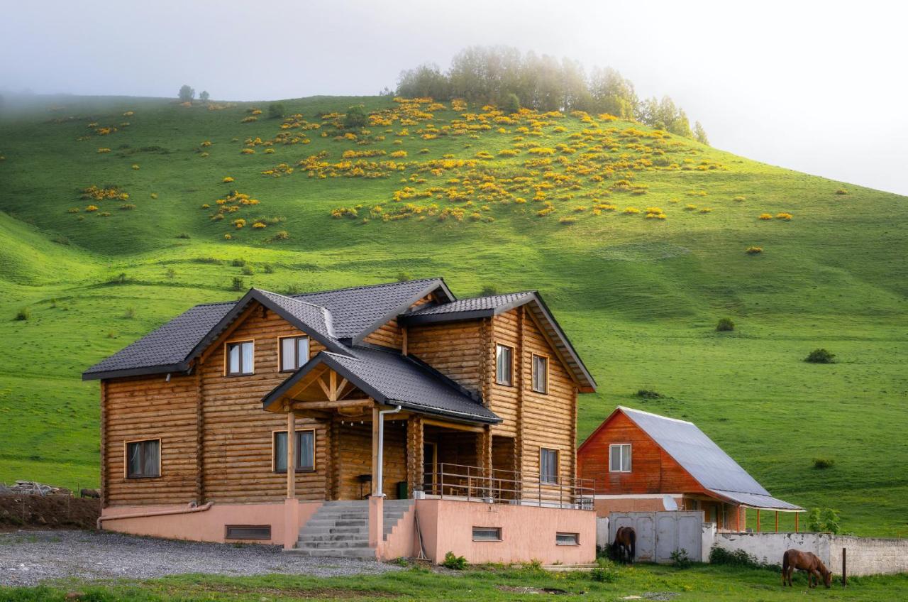 Snow Time Eco Chalet - B&B Gudauri