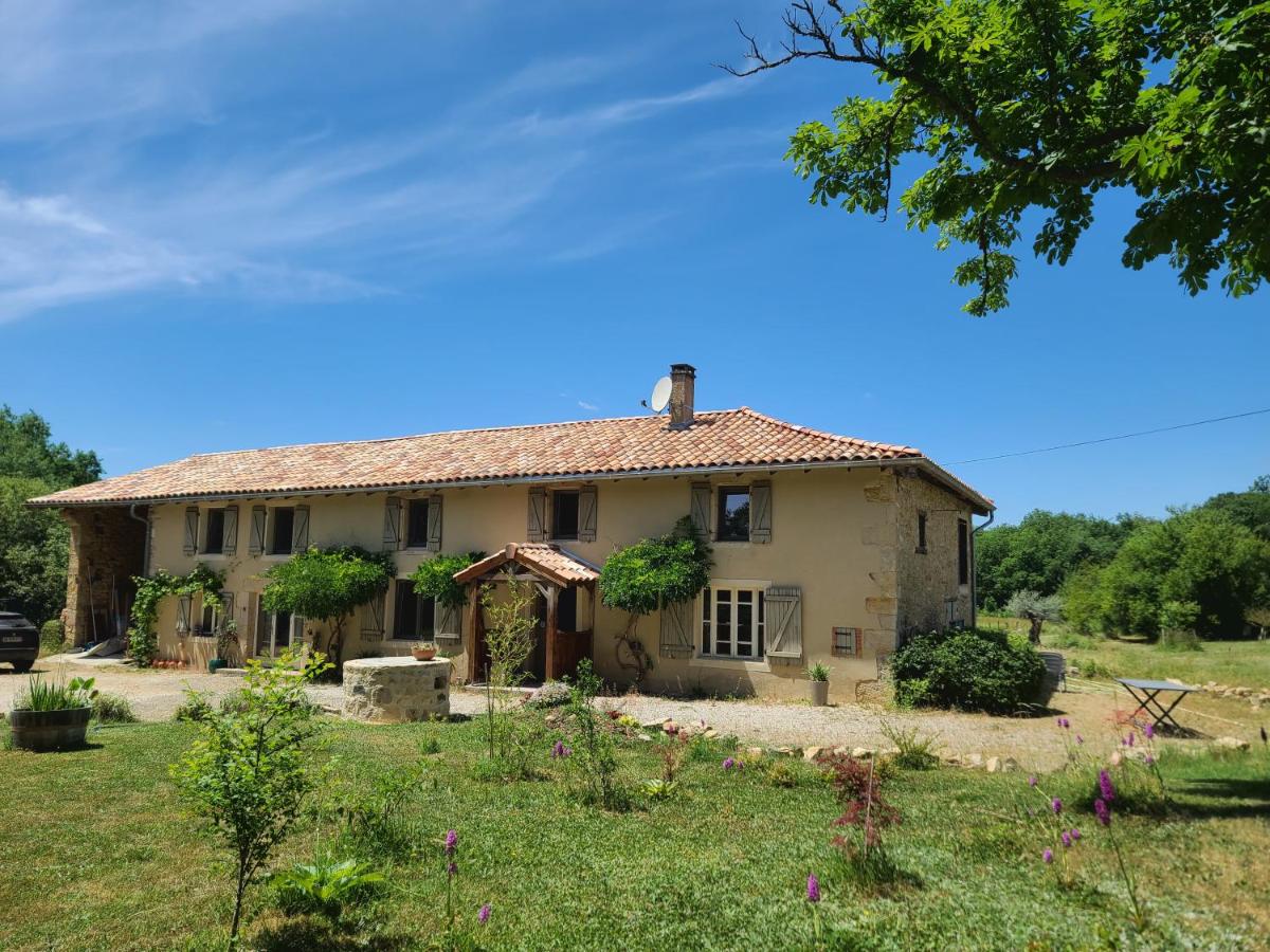 La Première Vigne - B&B Puycelsi