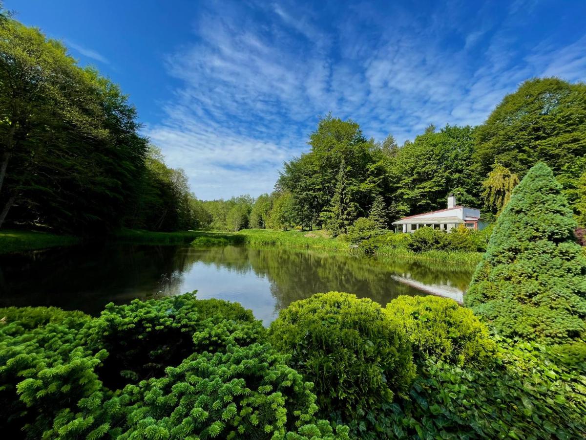 Domek w głębi lasu nad stawem - B&B Wierszyno