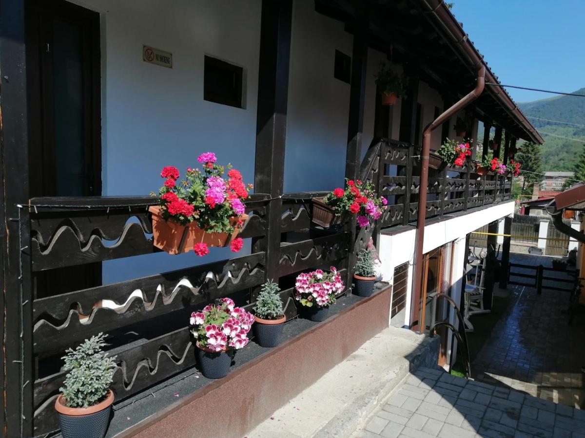 CASA GRETA - Ferienwohnung Lupeni