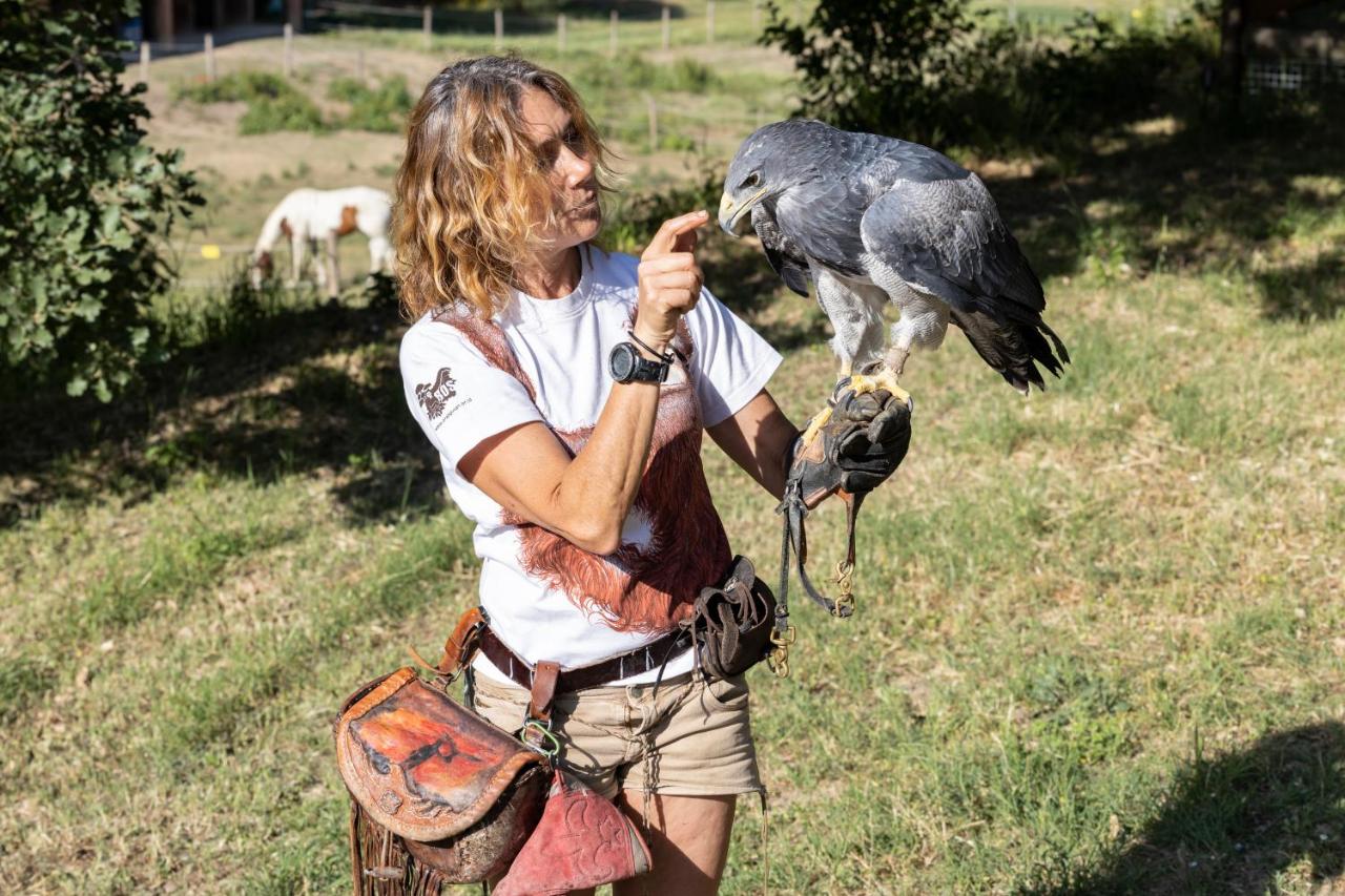 L'Aquila e L'Ulivo - B&B