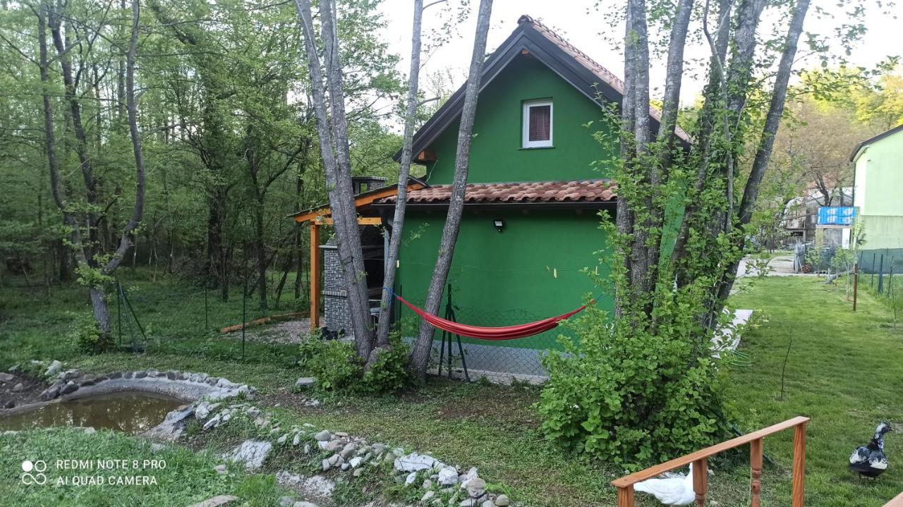 Green House - Bed and Breakfast Rijeka