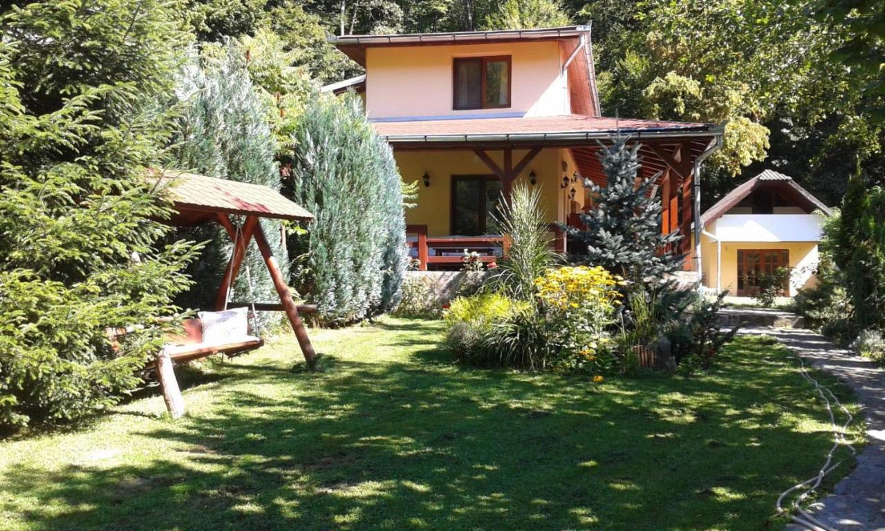 TreeHouse - B&B