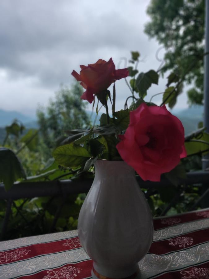 Kleine Eenpersoonskamer