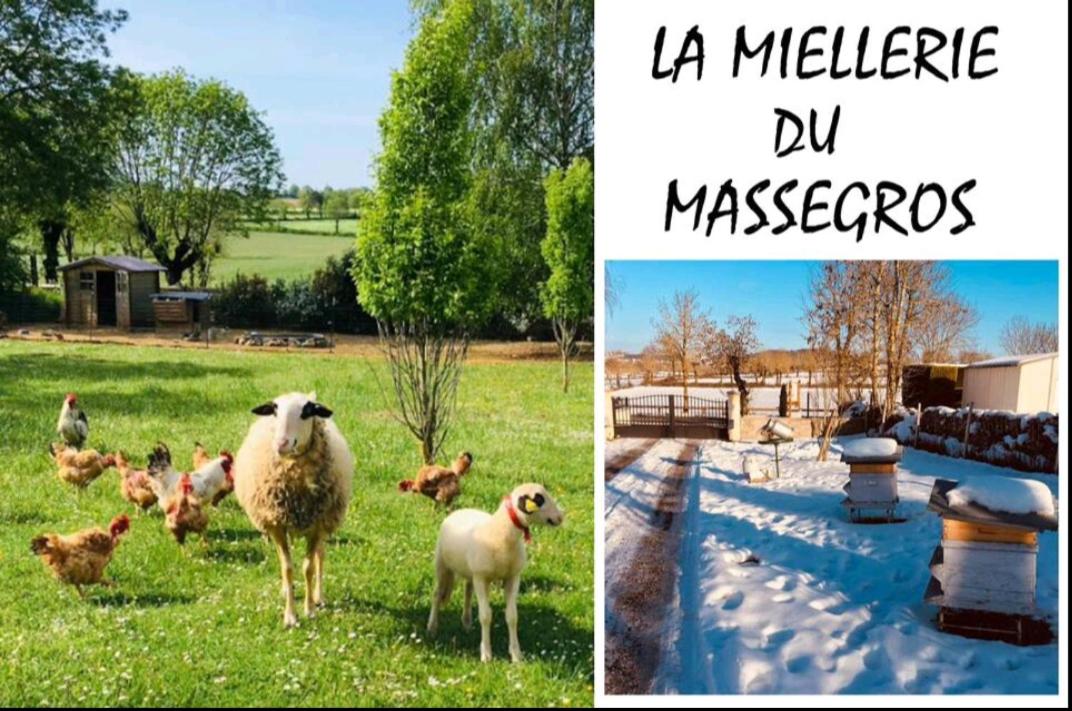 B&B Le Massegros - La Miellerie du Massegros - Bed and Breakfast Le Massegros