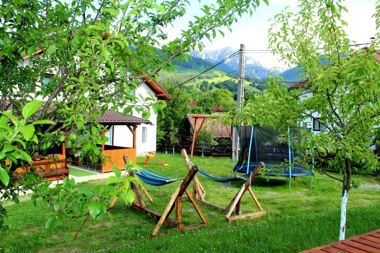 Milea's Guesthouse - B&B Bran
