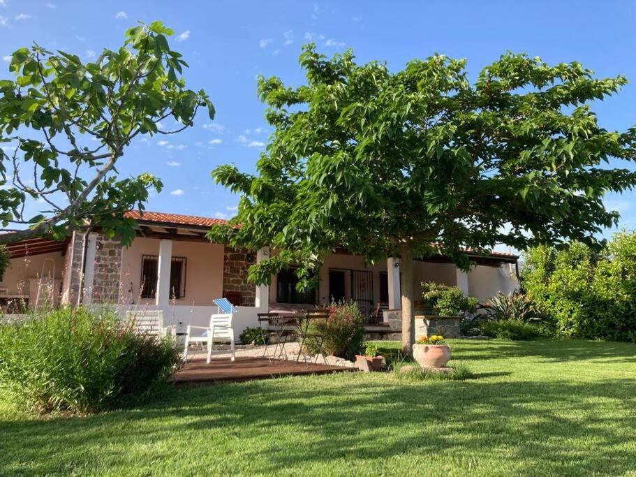 Countryside villa in Sardinia - B&B Triei