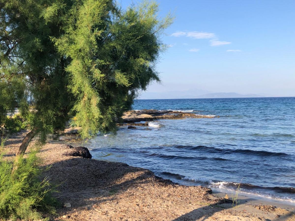 Artemis House - Bed and Breakfast Artémida