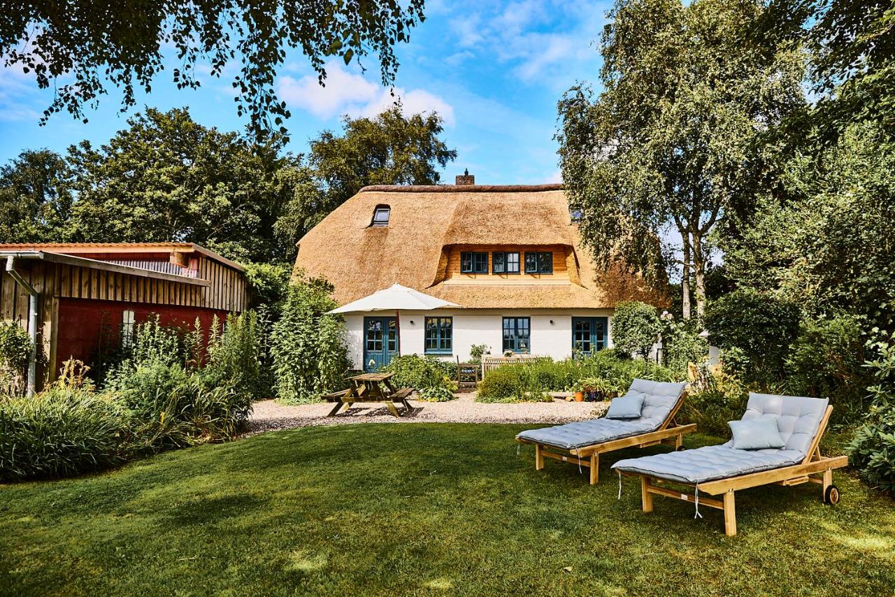 MeinNest31 - B&B