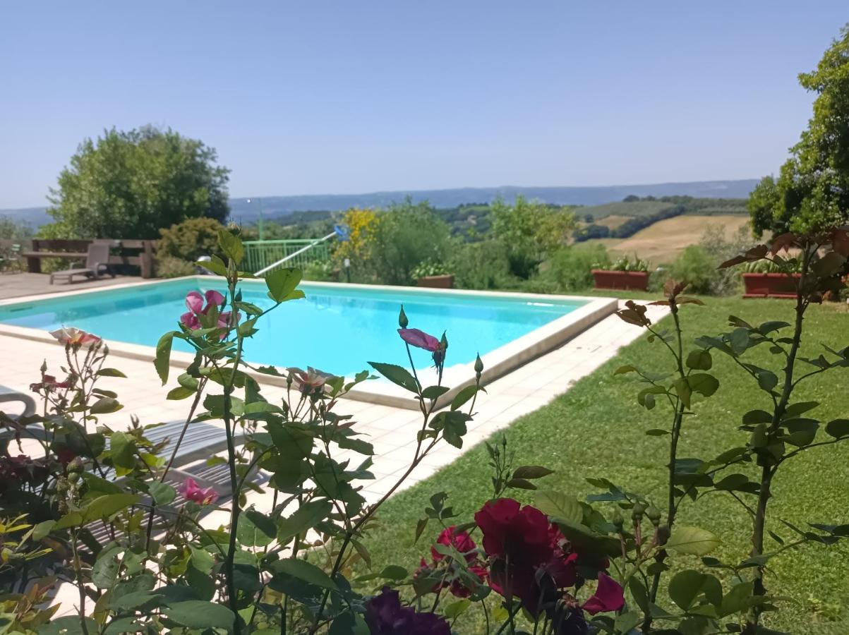 B&B Moriano - AgriHouse Orvieto - Bed and Breakfast Moriano