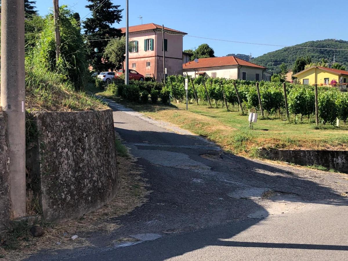 IL NIDO DI CHLOE cod. citra 011027-LT-0239 - B&B Sarzana