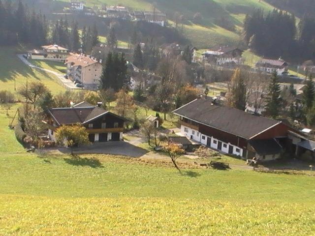 Trattenbachhof - Bed and Breakfast Scheffau am Wilden Kaiser