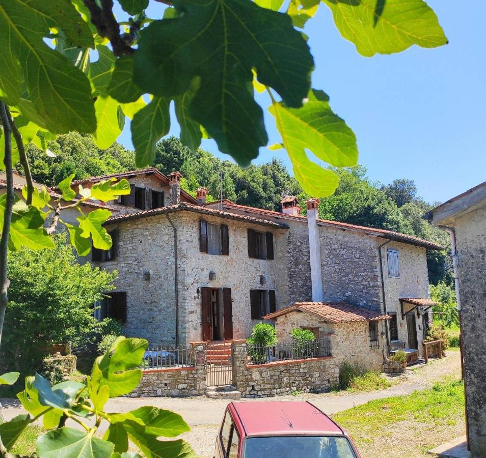 Cara House Tuscany - Zona Lucca - B&B Chiatri