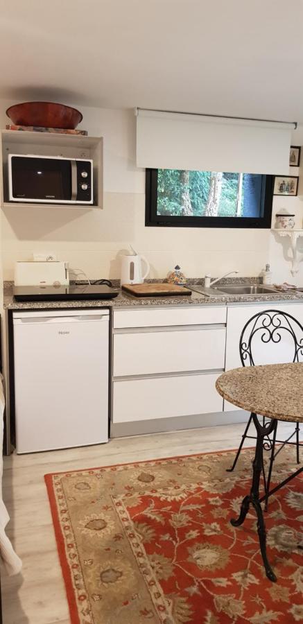 Studio with Garden View