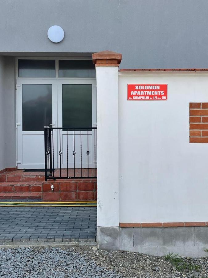 Solomon Apartments ap 2 - Chambres d’hôtes Sângeorgiu de Mureş