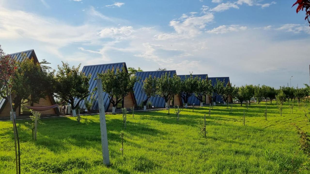 Perryland Urban Farm - B&B