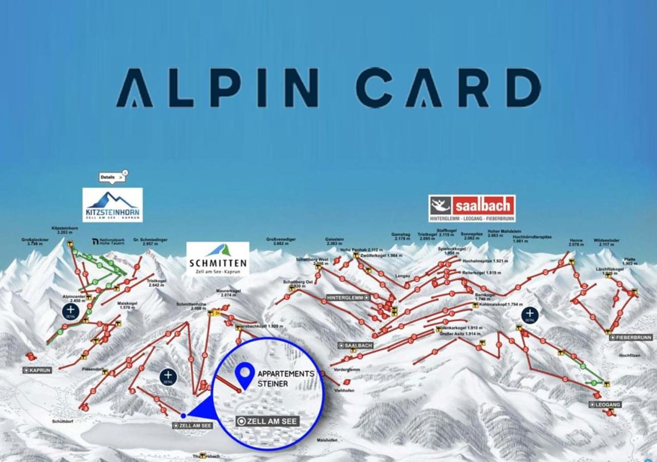 Appartements Steiner - SKI IN - SKI OUT - Bed and Breakfast Zell am See