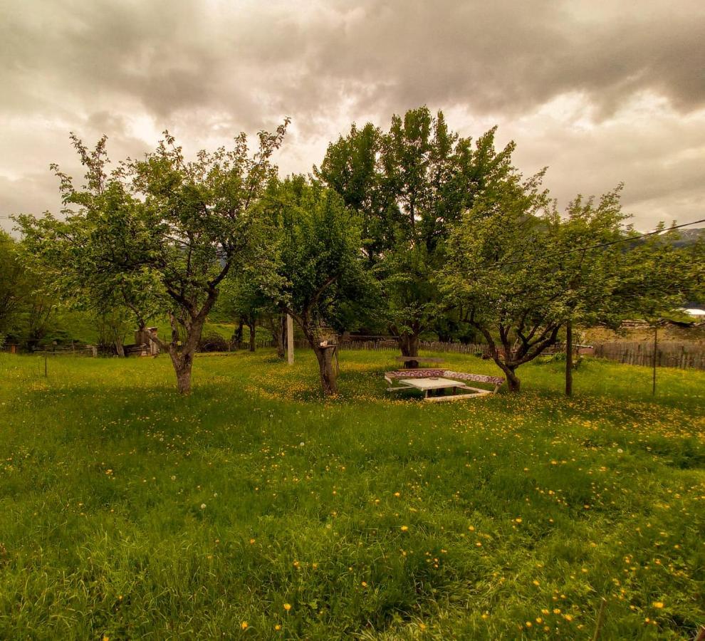 Iamze's Guest House - B&B Mestia