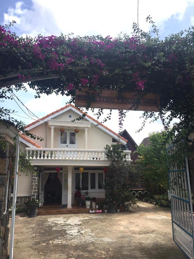 Pine Tree Homestay - B&B