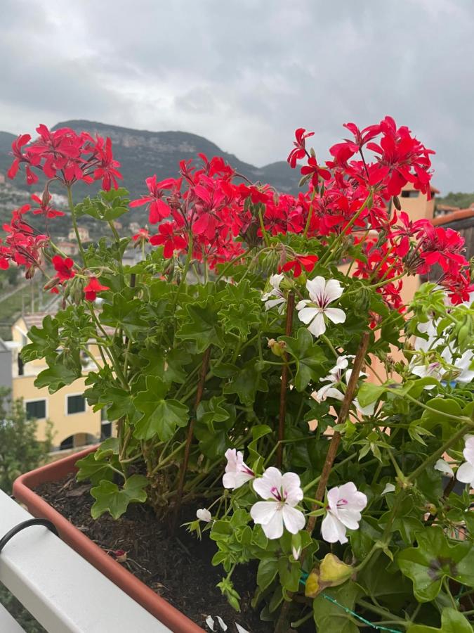 B&B La DORMERIA - Chambres d’hôtes