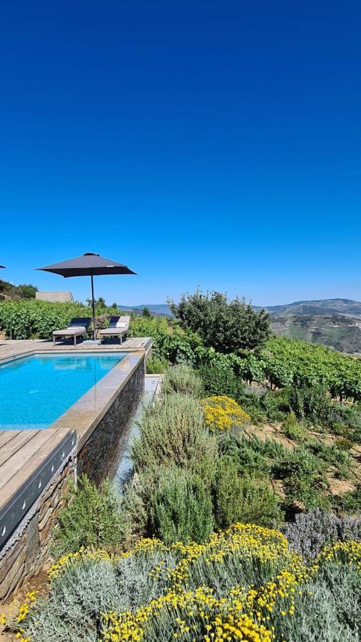 Casa de Pena d'Águia - Douro Encantado - Ferienwohnung Provesende