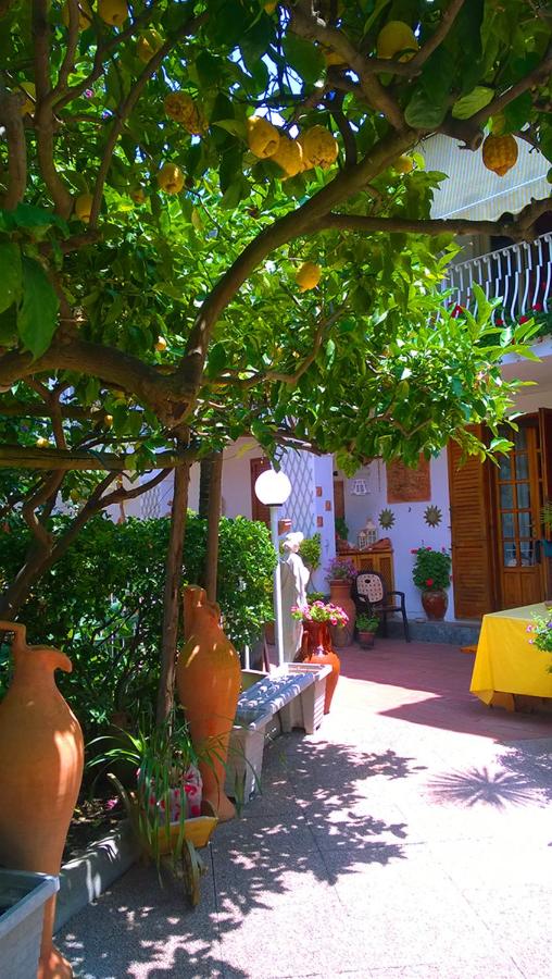 B&B Villa Anna Wunderbar - B&B Ischia